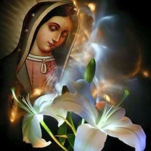 Meet your Posher, Alma